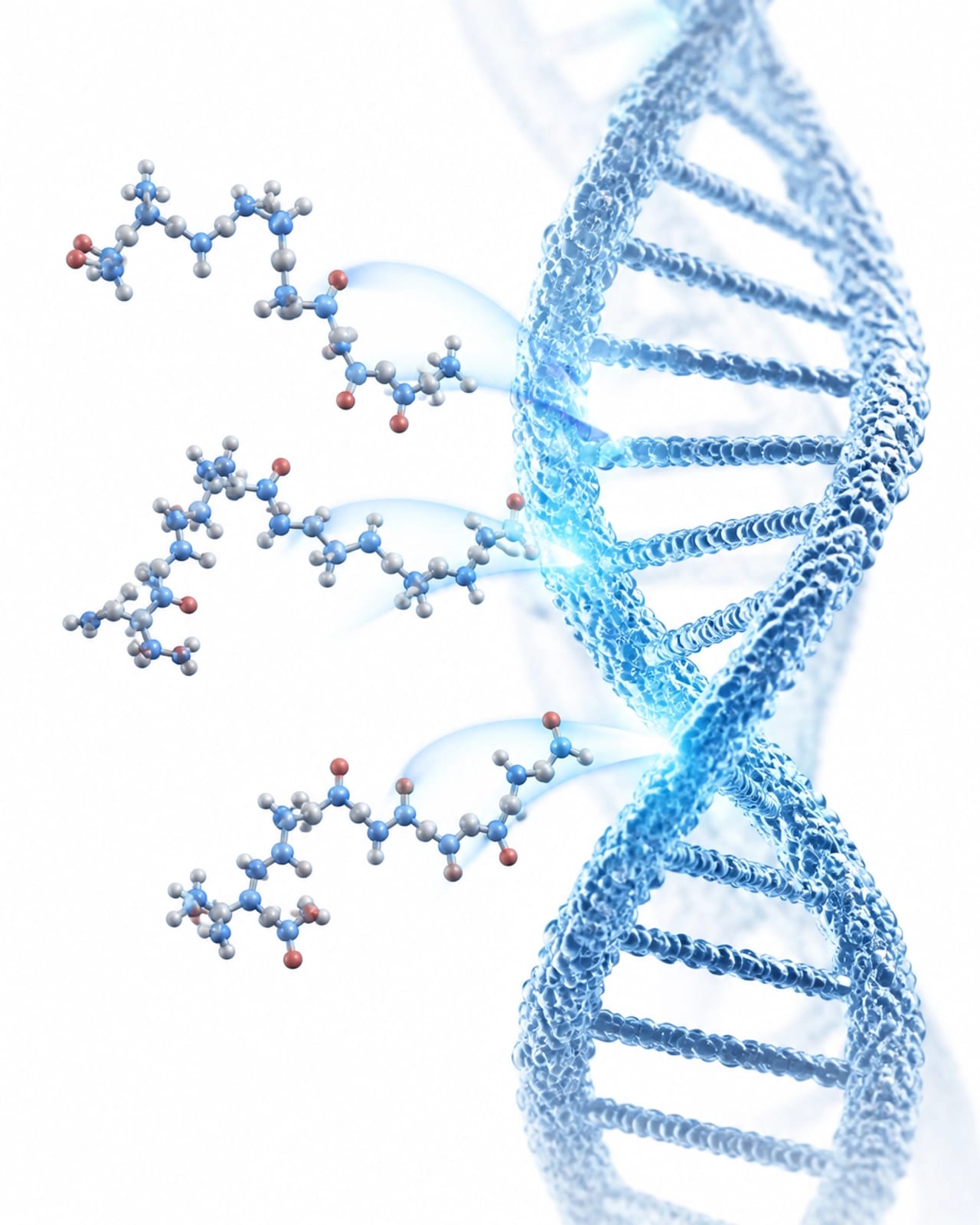 The Art of Bioregulation