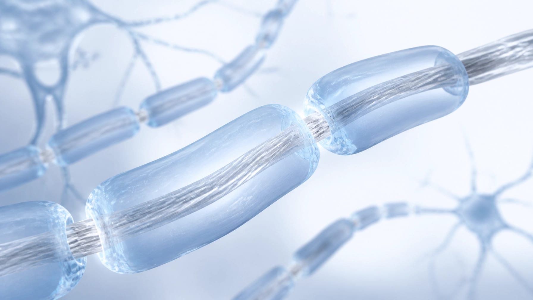 Abstract visualization of myelin sheaths