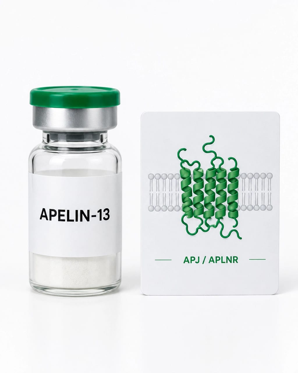 Apelin-13 and APJ/APLNR receptor research concept